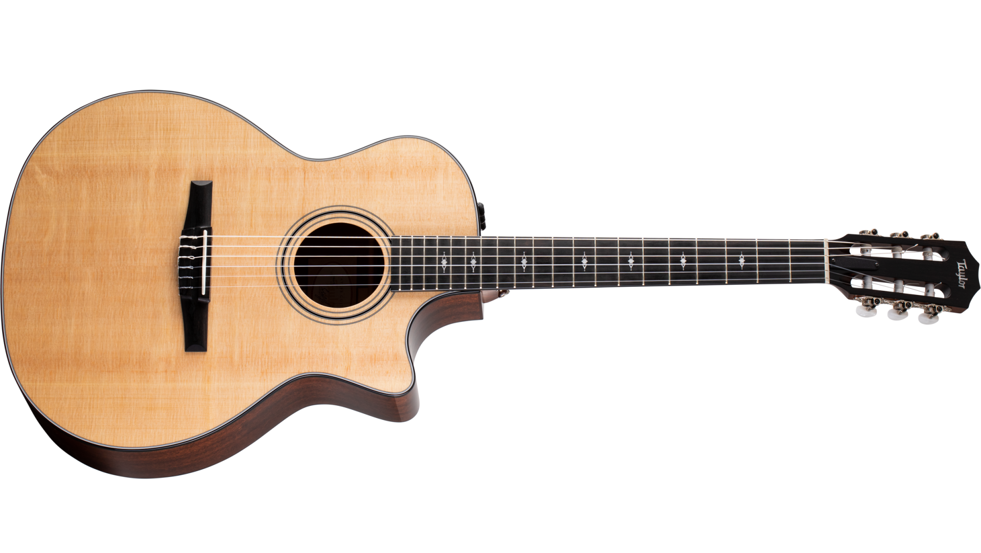 Taylor 314ce-N – Fret Mill Music Co. – Your Acoustic Guitar